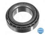 Rear Wheel Bearing E21